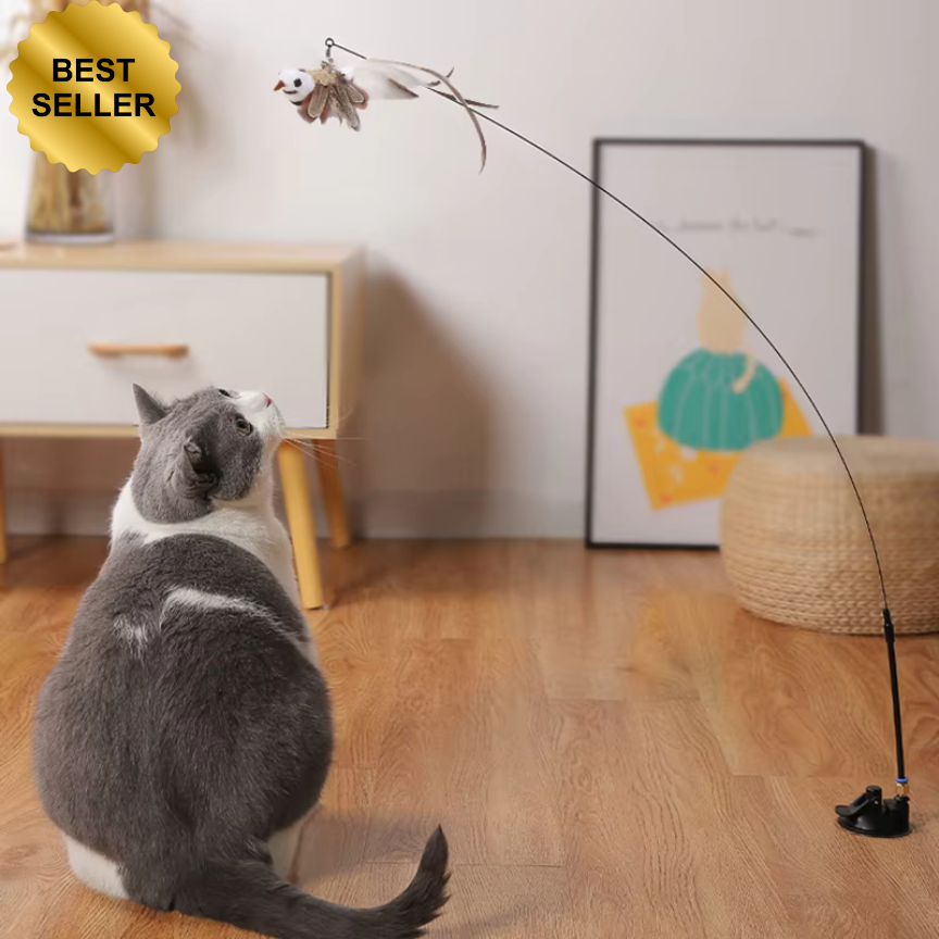 L’importance des jouets adaptés à l’âge de votre chat