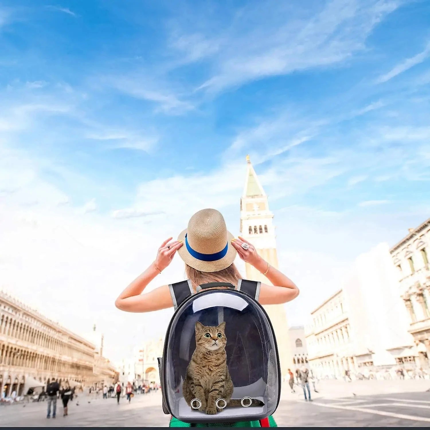 Sac de transport pour chat transparent/respirant "AstroCat"