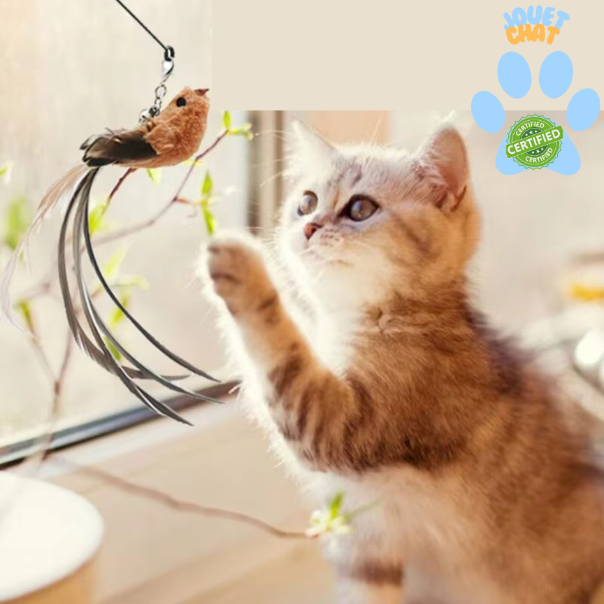 Canne a pêche ventouse oiseau pour chat "Birdsday"