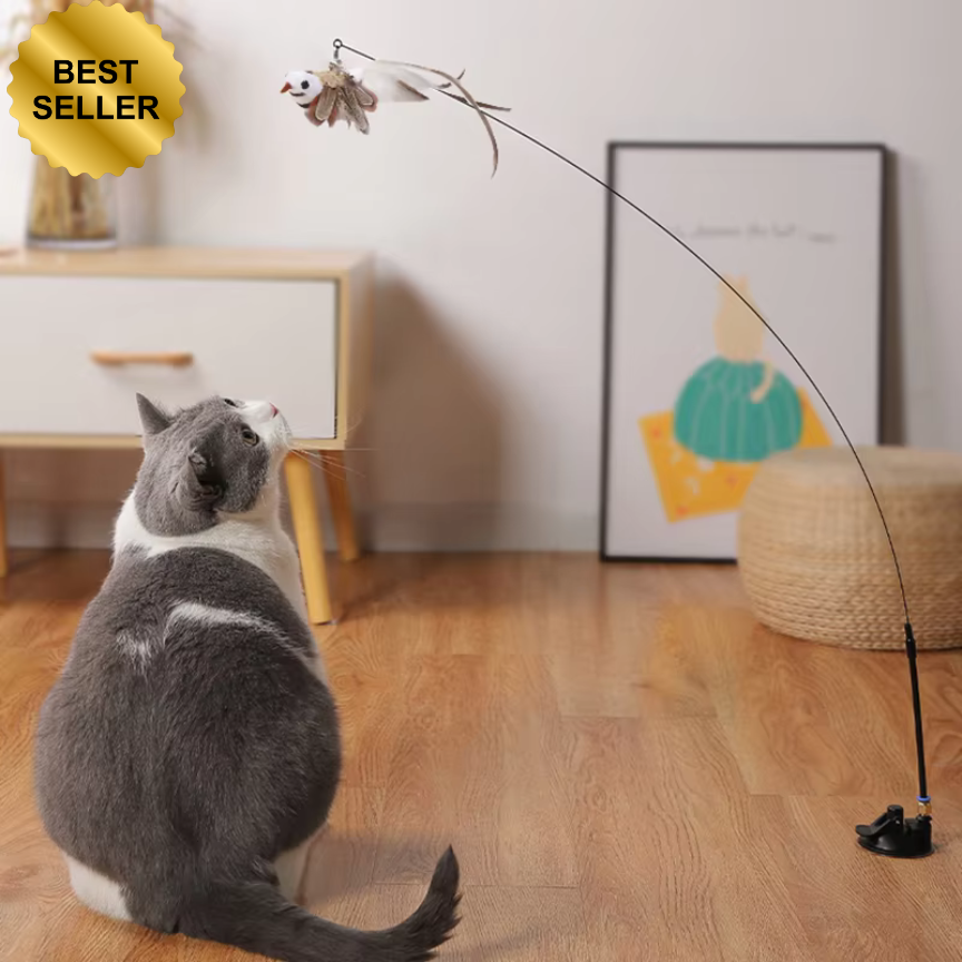 Canne a pêche ventouse oiseau pour chat "Birdsday"